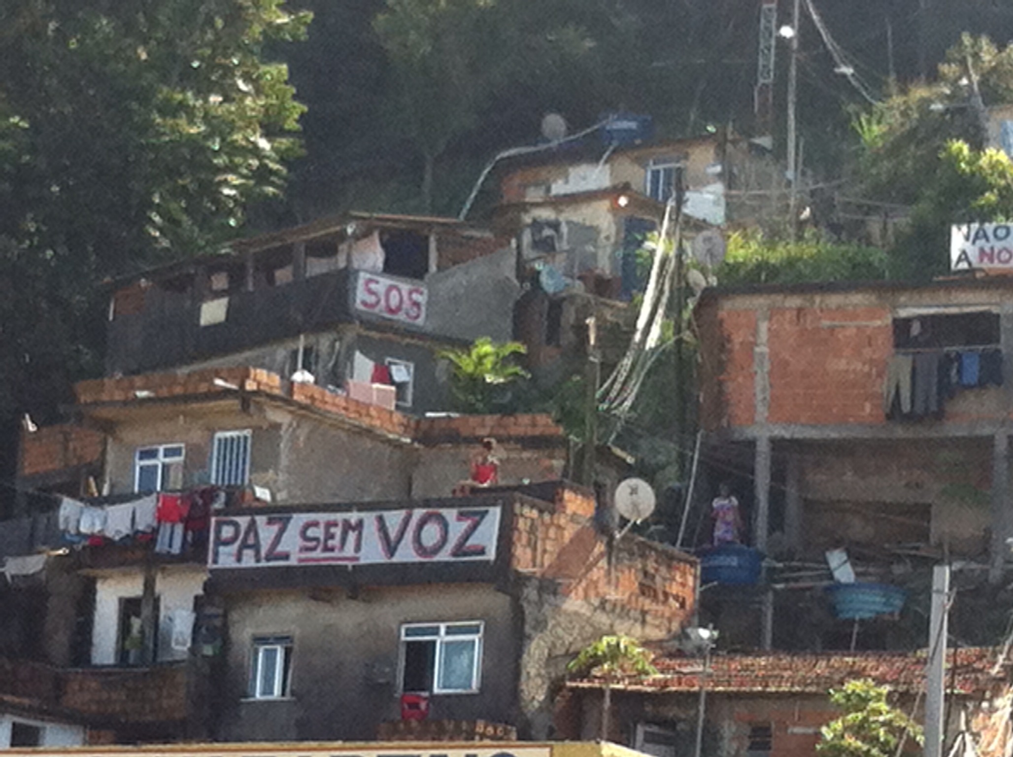 Sonia Fleury (Dicionário de Favelas)