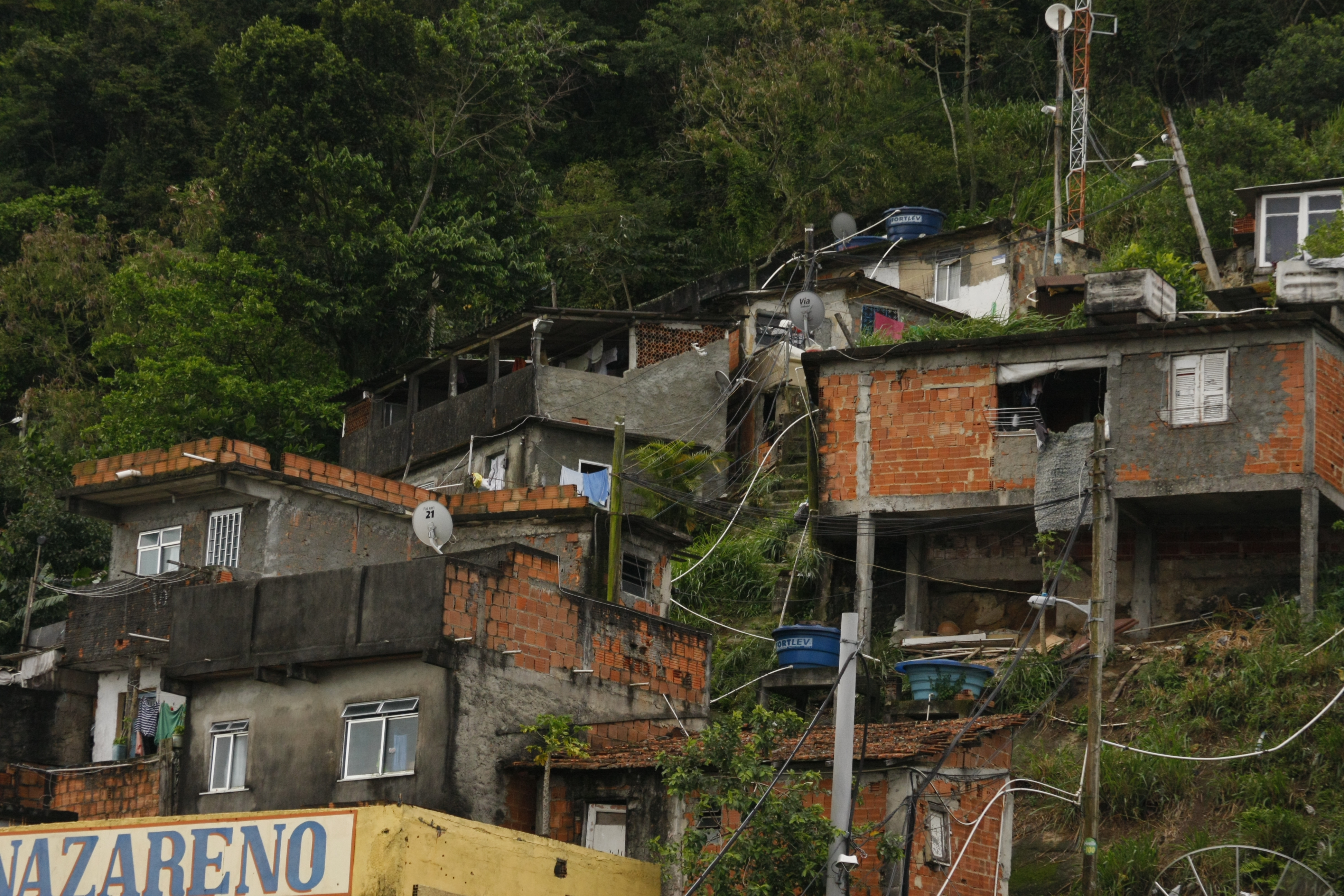 Sonia Fleury (Dicionário de Favelas)