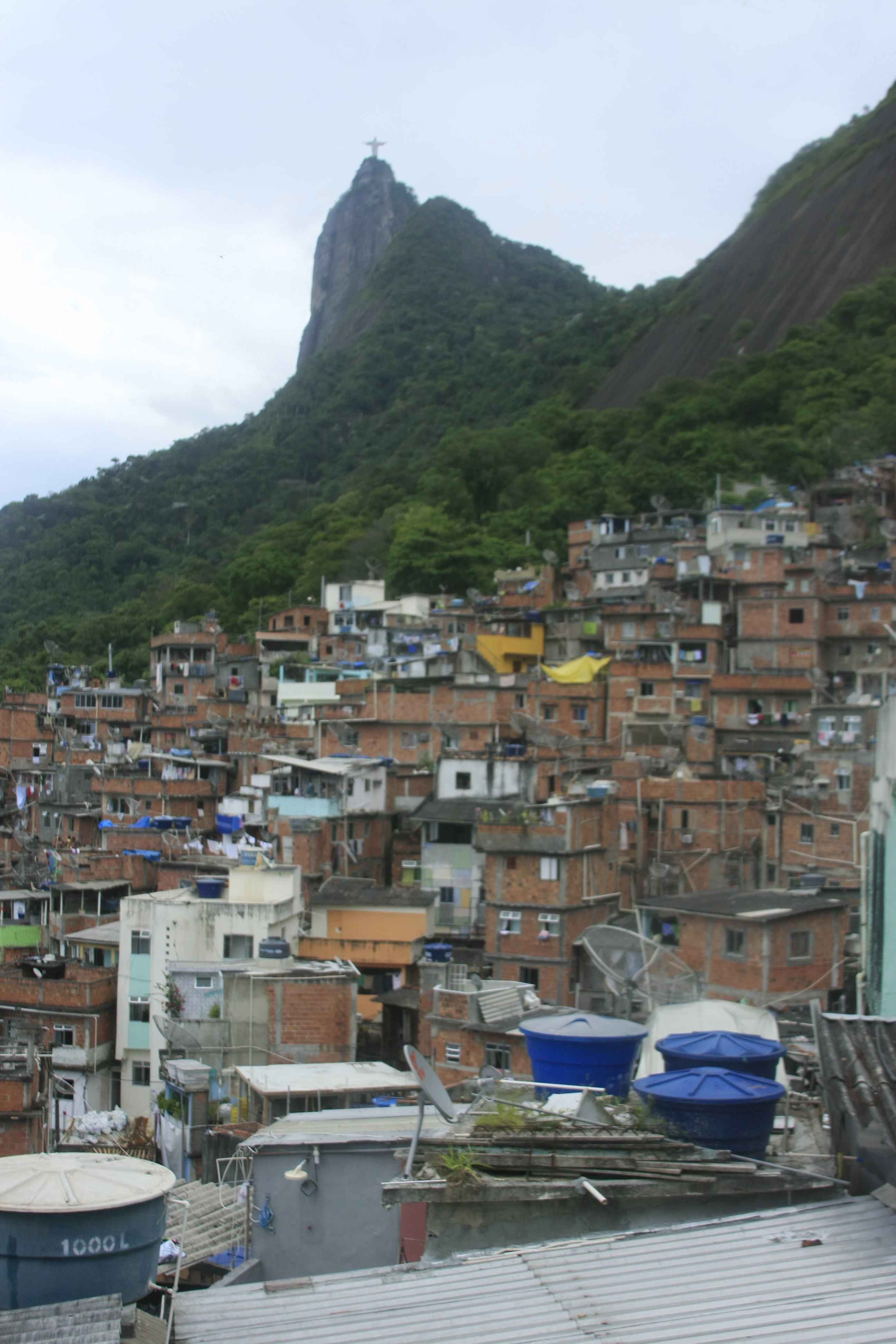 Sonia Fleury (Dicionário de Favelas)