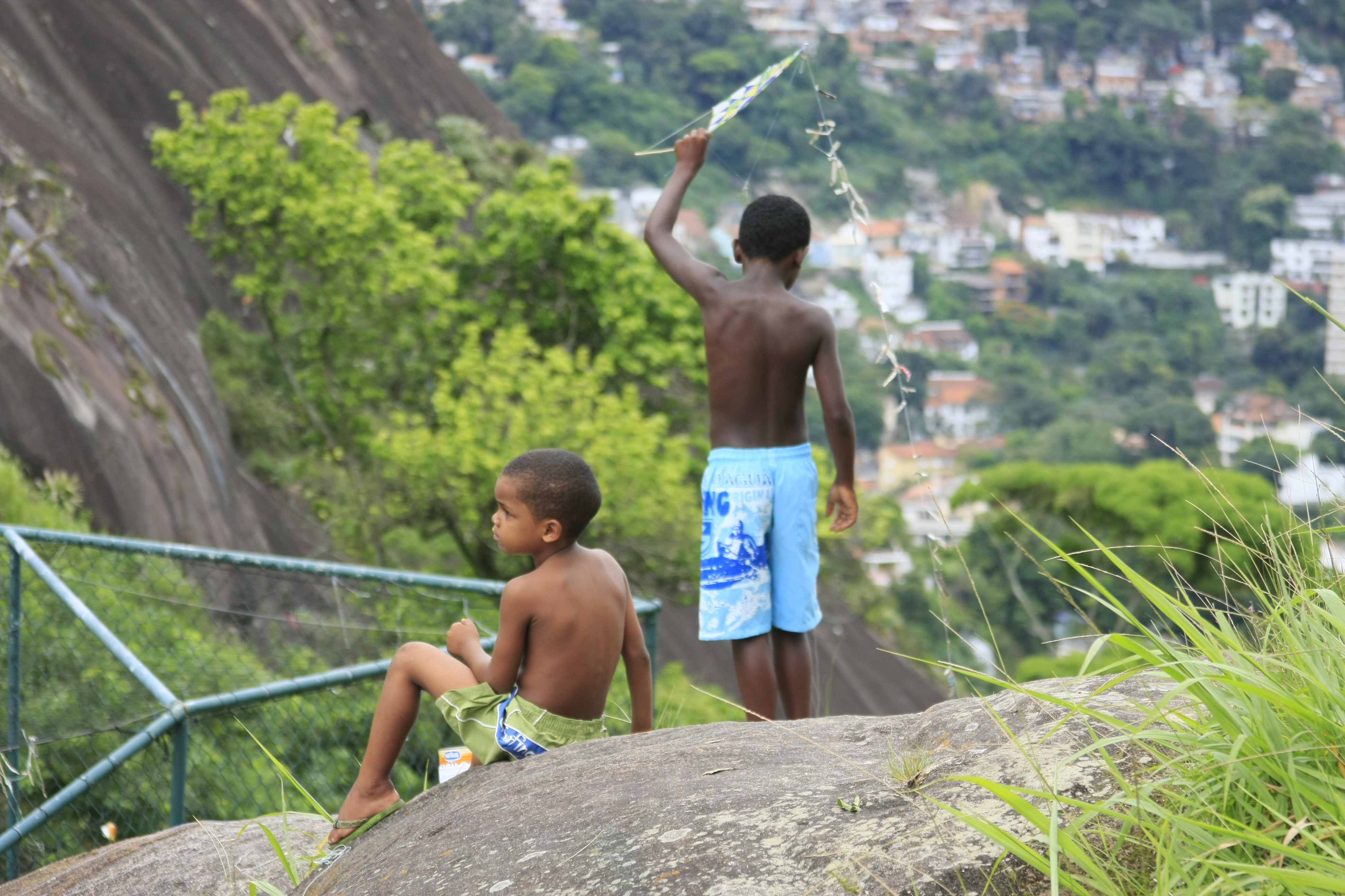 Sonia Fleury (Dicionário de Favelas)