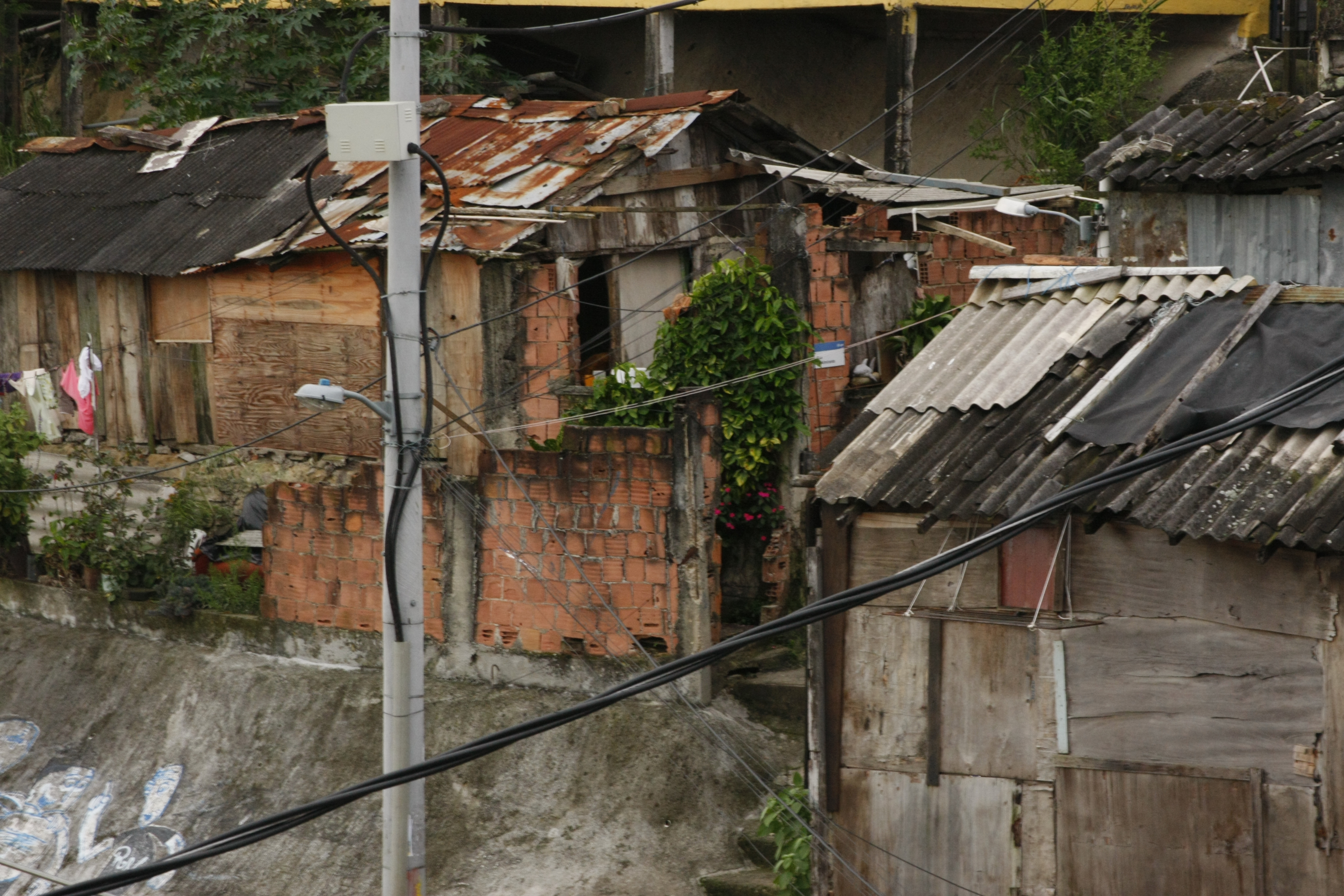 Sonia Fleury (Dicionário de Favelas)