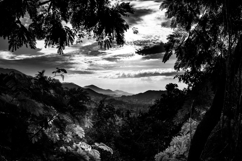 Arquivo:Turano 04.jpg