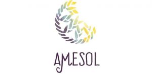Amesol.jpeg