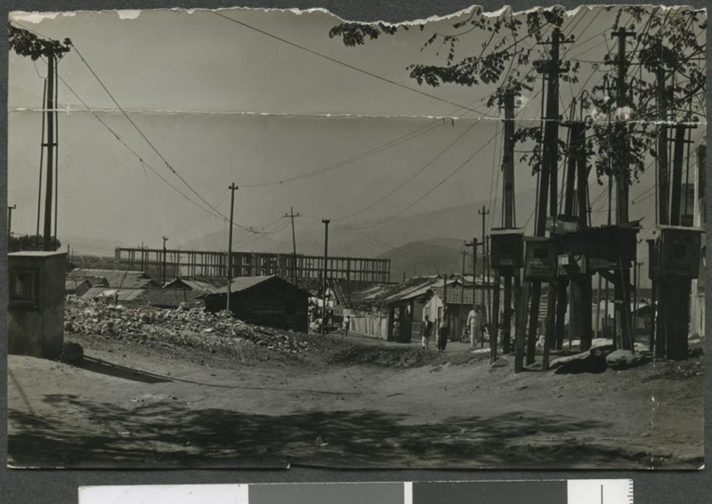 Arquivo:Esqueleto 01.jpg