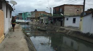 Carangueiro Recife.jpg